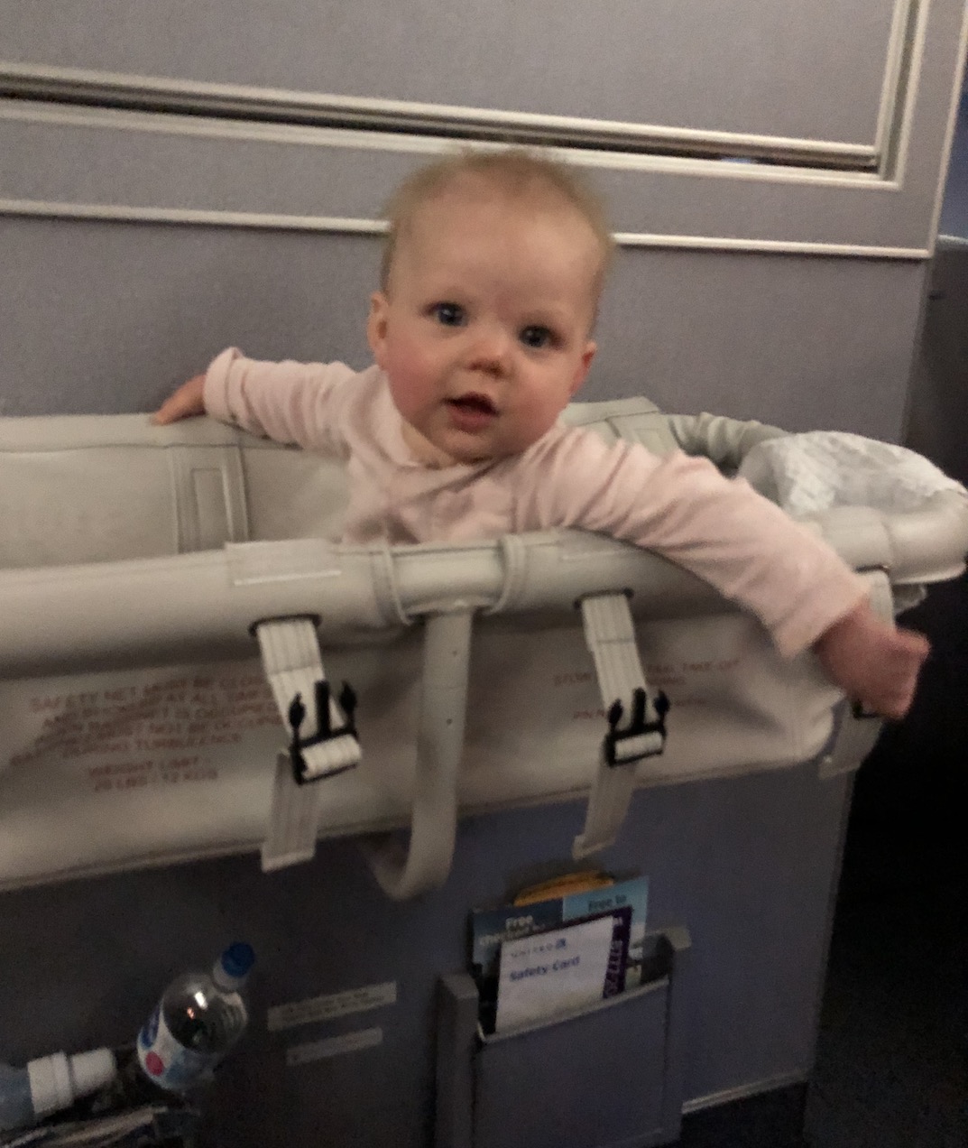 Long Haul Flights with Young Kids Wherever the Birds Fly